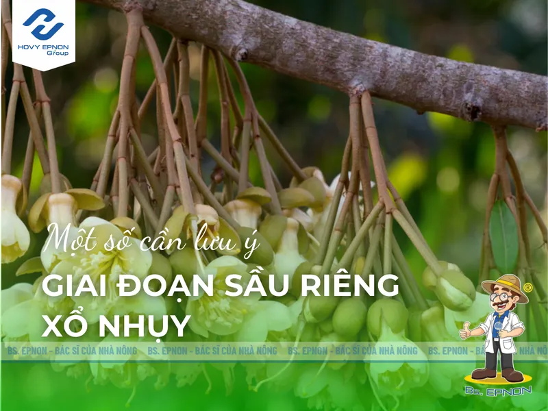 Sản phẩm sau_rieng_xo_nhuy — Công Ty Cổ Phần Nghiệp Nông — MST 0309350031