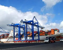 Sản phẩm 5 1277 — Công Ty Cổ Phần Quốc Tế Thanh Phú Long — MST 0309350112