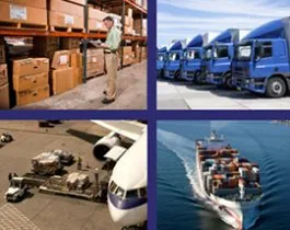 Sản phẩm 6 9169 — Công Ty Cổ Phần Quốc Tế Thanh Phú Long — MST 0309350112