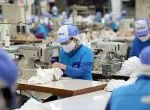Sản phẩm 0859nganhdetmay 9852 — Vải Sợi Phú Hoàng Hải - Công Ty TNHH Quốc Tế Phú Hoàng Hải — MST 0309370447