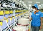 Sản phẩm photo01487548555270 1443 — Vải Sợi Phú Hoàng Hải - Công Ty TNHH Quốc Tế Phú Hoàng Hải — MST 0309370447