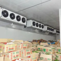 Sản phẩm kho l nh b o qu n rau 247x247 — Công Ty Cổ Phần Dịch Vụ Cộng Thêm Nhà Việt — MST 0309408877