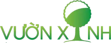 Logo Công Ty TNHH Thương Mại Dịch Vụ Vườn Xinh