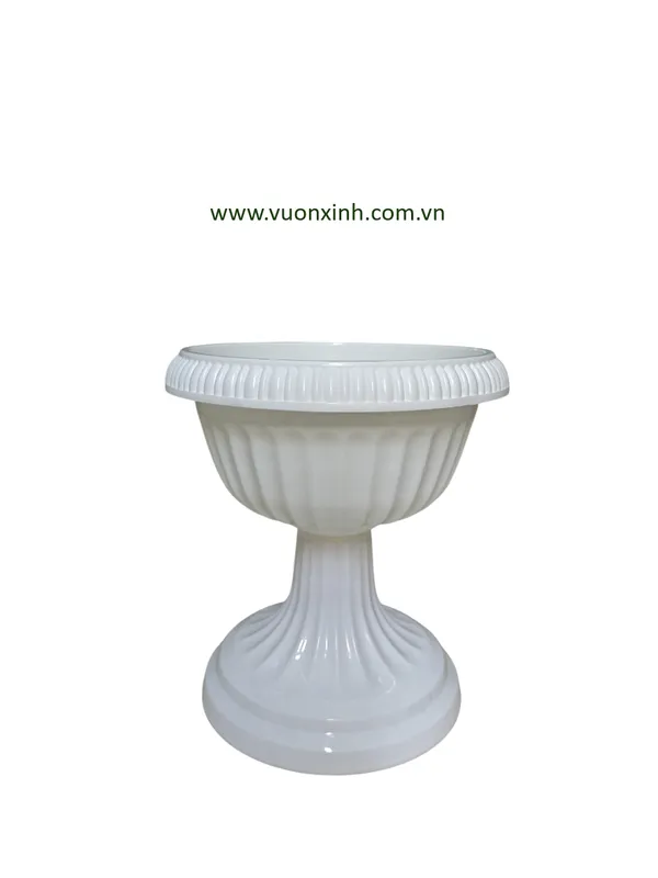 Sản phẩm Chau De Ly 30 33 — Công Ty TNHH Thương Mại Dịch Vụ Vườn Xinh — MST 0309441747