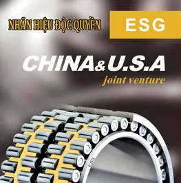 Sản phẩm nhan hieu doc quyen esg — Vòng Bi Huyền Trang - Công Ty TNHH Thương Mại Thiết Bị Công Nghiệp Huyền Trang — MST 0309475312