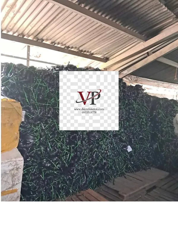 Sản phẩm giao day nilon cho khach lay si 5844 — Dây Nilon Văn Phát - Công Ty TNHH MTV Văn Phát — MST 0309486297