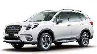 Sản phẩm subaru viet nam 2 q0hp576bgw6i3zm35ju9822f9dc5507w3q244imcnq — Công Ty Subaru Việt Nam Chi Nhánh Gò Vấp — MST 0309513695