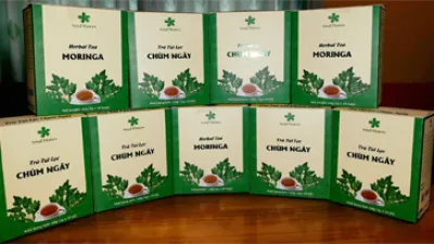 Sản phẩm tra tui loc ngang 7621 — Mật Ong Phúc Lộc Thọ - Công Ty CP Đầu Tư Xuất Nhập Khẩu Phúc Lộc Thọ — MST 0309525475