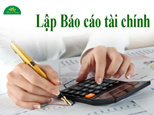 Sản phẩm bao cao tai chinh 1066 — Dịch Vụ Kế Toán Thuế Vát - Công Ty TNHH Vát — MST 0309559724