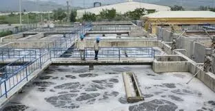 Sản phẩm tai xuong (3) 5841 — Dịch Vụ Kế Toán Thuế Vát - Công Ty TNHH Vát — MST 0309559724
