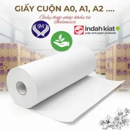 Sản phẩm unnamed 5086 — Công Ty Cổ Phần Giấy Song Mã — MST 0309709264