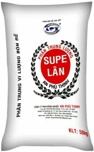 Sản phẩm supe lan_300x300 — Công Ty TNHH Nông Nghiệp An Phú Thịnh — MST 0309717522