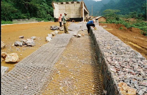 Sản phẩm hình 9 — Công Ty TNHH Xuất Nhập Khẩu Phú Thành Phát — MST 0309728972