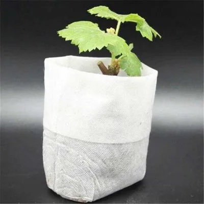 Sản phẩm bao gia tui vai trong cay 1 400x400 — Công Ty TNHH Xuất Nhập Khẩu Phú Thành Phát — MST 0309728972