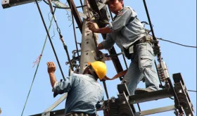 Sản phẩm 1231a 3925 — Công Ty TNHH Triệu Thành Đạt — MST 0309730259
