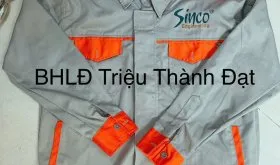 Sản phẩm quanaobaoholaodong 2 5923 — Công Ty TNHH Triệu Thành Đạt — MST 0309730259