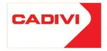 Sản phẩm cadivi — Công Ty TNHH Tư Vấn Thiết Kế Và Xây Dựng Sao Vàng — MST 0309780524