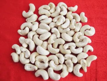 Sản phẩm cashew nut w2401491383877_355x270 — Công Ty TNHH Một Thành Viên Dương Cát — MST 0309800393