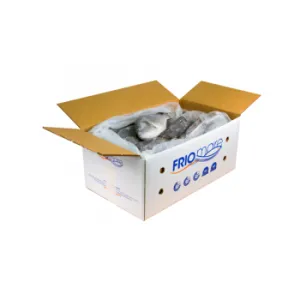 Sản phẩm thung thuy san_2004c5af9d1749328cde91dd3d998afe_grande4952_350x350 300x300 — Bao Bì Carton Đại Phúc - Công Ty TNHH Sản XUất Thương Mại Dịch Vụ Bao Bì Đại
Phúc — MST 0309817206