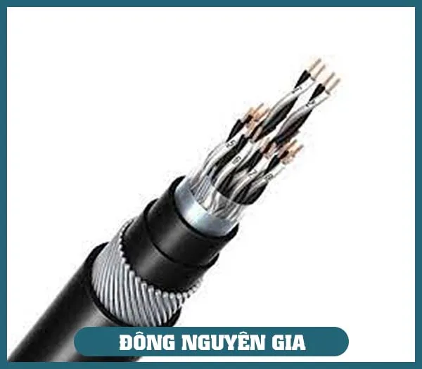 Sản phẩm CAP INSTRUMENT — Dây Cáp Điện Đông Nguyên Gia - Công Ty TNHH Thương Mại Và Xuất Nhập Khẩu Đông
Nguyên Gia — MST 0309838647