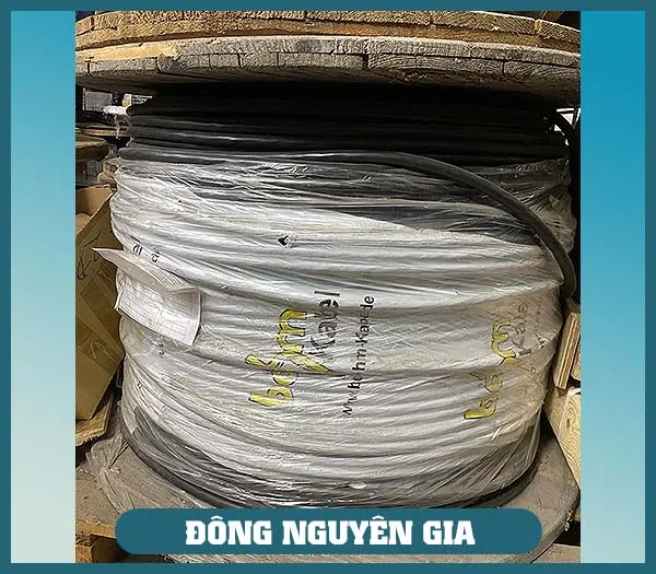 Sản phẩm CAP YSKY JZ 0.6 1KV — Dây Cáp Điện Đông Nguyên Gia - Công Ty TNHH Thương Mại Và Xuất Nhập Khẩu Đông
Nguyên Gia — MST 0309838647