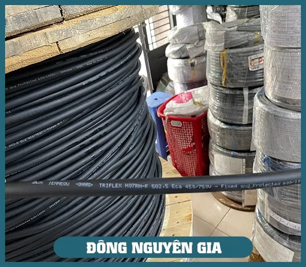 Sản phẩm Cap cao su H07RN F — Dây Cáp Điện Đông Nguyên Gia - Công Ty TNHH Thương Mại Và Xuất Nhập Khẩu Đông
Nguyên Gia — MST 0309838647