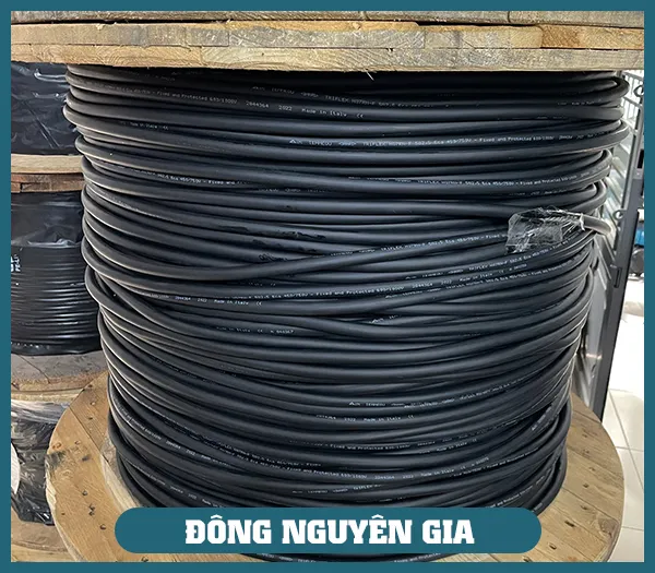 Sản phẩm H07RN F (frame) — Dây Cáp Điện Đông Nguyên Gia - Công Ty TNHH Thương Mại Và Xuất Nhập Khẩu Đông
Nguyên Gia — MST 0309838647