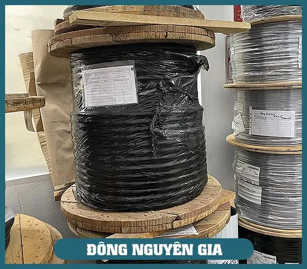 Sản phẩm INSTRUMENT  KHO — Dây Cáp Điện Đông Nguyên Gia - Công Ty TNHH Thương Mại Và Xuất Nhập Khẩu Đông
Nguyên Gia — MST 0309838647