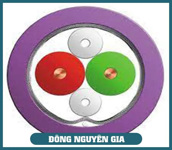 Sản phẩm dd — Dây Cáp Điện Đông Nguyên Gia - Công Ty TNHH Thương Mại Và Xuất Nhập Khẩu Đông
Nguyên Gia — MST 0309838647