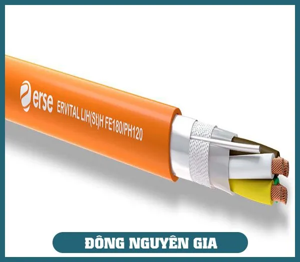 Sản phẩm z4066369294321_89a51a486e697078a1a97133364dadce — Dây Cáp Điện Đông Nguyên Gia - Công Ty TNHH Thương Mại Và Xuất Nhập Khẩu Đông
Nguyên Gia — MST 0309838647