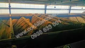 Sản phẩm kho xa nguyen lieu 50 tan gio 4116d5ca — Công Ty TNHH Cơ Khí - Dịch Vụ - Kỹ Thuật Tiến Nhân — MST 0309850179