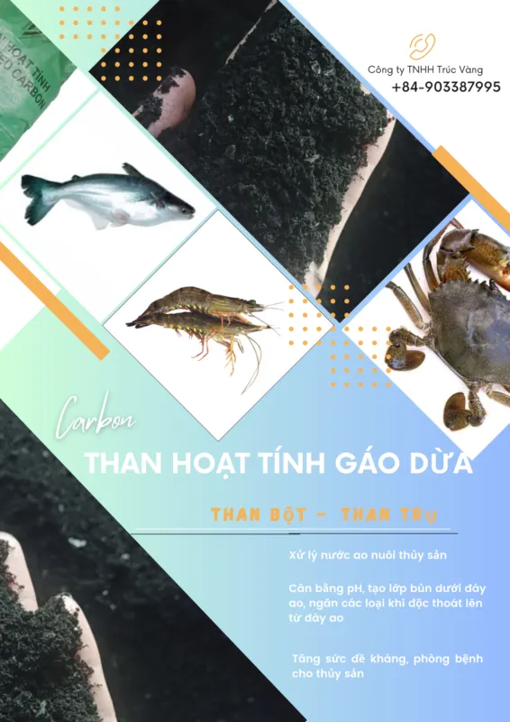 Sản phẩm brochure 28.06.2024 566x800 — Than Hoạt Tính Trúc Vàng - Công Ty TNHH Trúc Vàng — MST 0309862417