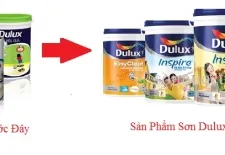 Sản phẩm 3 4430 6537 — Công Ty TNHH Thương Mại - Dịch Vụ - Đầu Tư - Xây Dựng Trường Kha — MST 0309868722