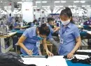Sản phẩm anh 0164 — May Xuất Khẩu Thành Tín - Công Ty TNHH Thương Mại Dịch Vụ May Thêu Xuất Khẩu
Thành Tín — MST 0309869885