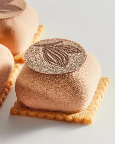 Sản phẩm 29052024 Callebaut born original inspire minette smith petit gateau sesame apple milk chocolate_480x480 — Công Ty TNHH MTV Lý Gia Viên — MST 0309885615