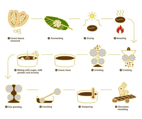 Sản phẩm csm_LH_Grafik_BeantoBar_200604 EN_9555e231e9_480x480 — Công Ty TNHH MTV Lý Gia Viên — MST 0309885615