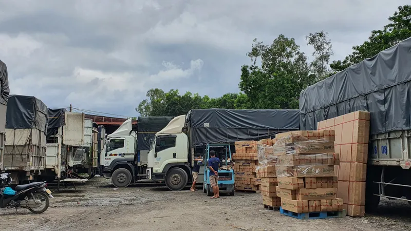 Sản phẩm 8bb34665e9e617b84ef7 2101 2120 — Công Ty TNHH Vận Tải Và Dịch Vụ Hà Phúc — MST 0309911777