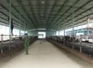 Sản phẩm nuoi bo 3986 — Công Ty TNHH Môi Trường Dương Huỳnh — MST 0309915436