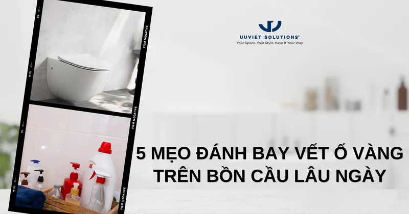 Sản phẩm 5 MEO DANH BAY VET O VANG TREN BON CAU LAU NGAY — Thiết Bị Vệ Sinh Ưu Việt - Công Ty TNHH Thương Mại Giải Pháp Ưu Việt — MST 0309918941