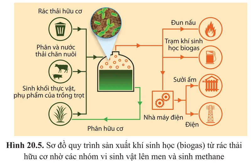 Sản phẩm Bai 20 trang 125.1 — Xử Lý Nước Thải á Châu - Công Ty Cổ Phần Năng Lượng á Châu — MST 0309930089