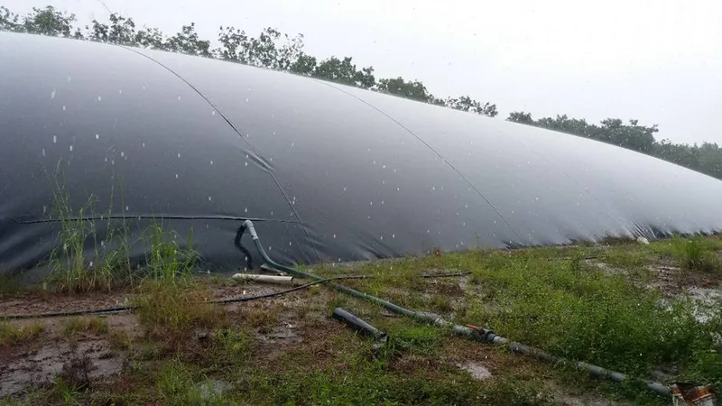 Sản phẩm Cung cap bat HDPE 1767268831564 — Xử Lý Nước Thải á Châu - Công Ty Cổ Phần Năng Lượng á Châu — MST 0309930089