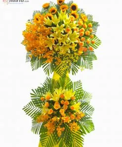 Sản phẩm Hoa khai truong Believe 1 Hoa18 247x296 — Công Ty TNHH Hoa 18 — MST 0309956986