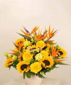 Sản phẩm binh_hoa_tuoi_hoa18_img_0231 247x296 — Công Ty TNHH Hoa 18 — MST 0309956986