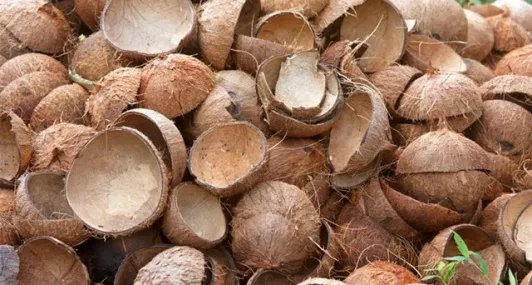 Sản phẩm [532x285 cr]coconut shell crafts 2 — Công Ty Cổ Phần Quốc Tế Đức Hiếu — MST 0309963694