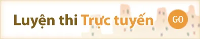 Sản phẩm thi_truc_tuyen_vi — Công ty TNHH Viện Đào tạo Công nghệ và Quản trị Robusta — MST 0309977256
