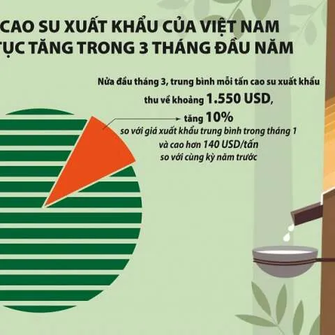 Sản phẩm gia cao su xuat khau bien dong ra sao trong quy ii2024 20240322174103 480x480 — Túi Flexitank Infinity - Công Ty TNHH Thương Mại và Giao Nhận Hàng Hóa Vô Cực — MST 0309988547