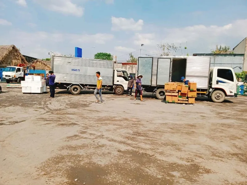 Sản phẩm gui hang ha noi dong nai3 — Công Ty TNHH Dịch Vụ Phát Lộc Thịnh — MST 0310030438