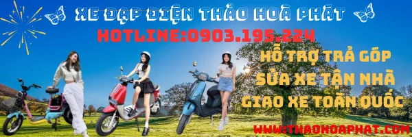 Sản phẩm xe dap dien thao hoa phat_14202416022025 — Công Ty TNHH Thương Mại Dịch Vụ Kỹ Thuật Thảo Hòa Phát — MST 0310074555