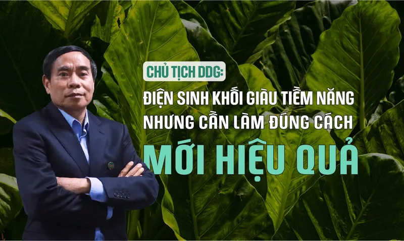 Sản phẩm ddgcover1 1855 — Công Ty Cổ Phần Đầu Tư Công Nghiệp Xuất Nhập Khẩu Đông Dương — MST 0310103090