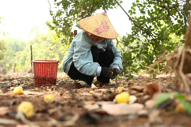 Sản phẩm IMG_1035 — Công Ty Cổ Phần Tập Đoàn Gia Bảo — MST 0310151400